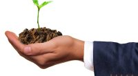 how to build a sustainable business - Short Url News