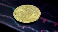 top cryptocurrencies to invest in - Short Url News