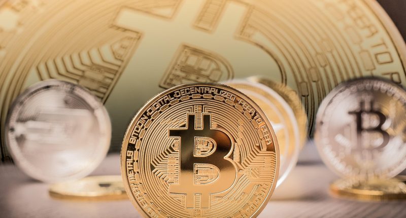 best crypto for beginners - Short Url News