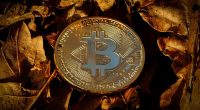 best crypto portfolio strategy - Short Url News