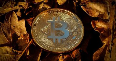 best crypto portfolio strategy - Short Url News