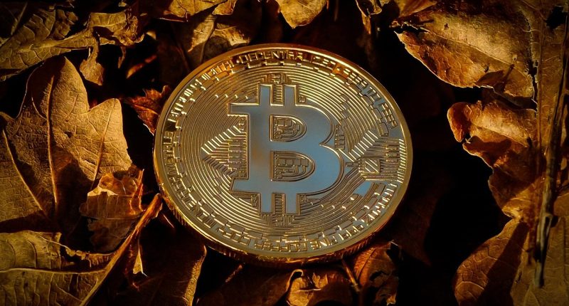 best crypto portfolio strategy - Short Url News
