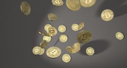 crypto trading strategies for beginners 2026 - Short Url News